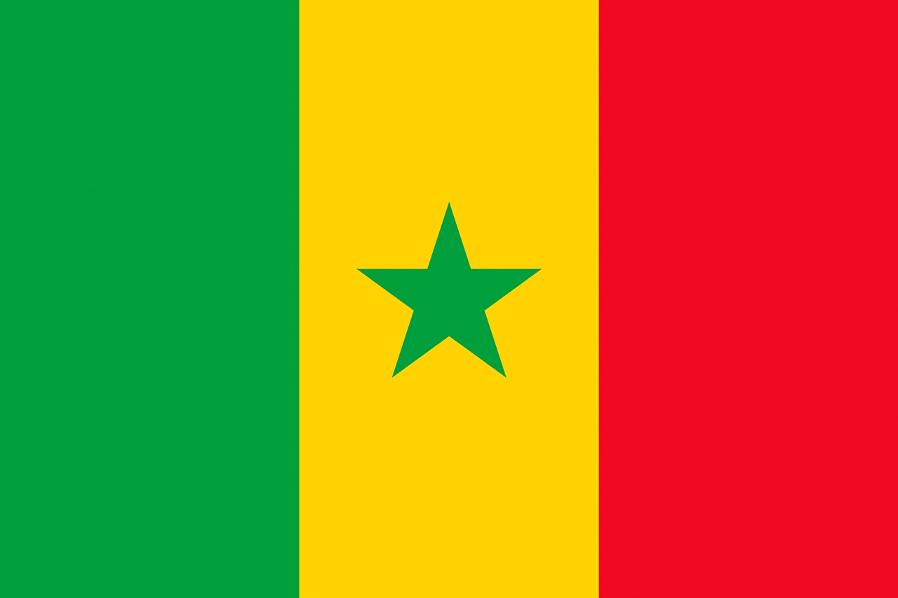 Flag Of Senegal - HD Wallpaper 