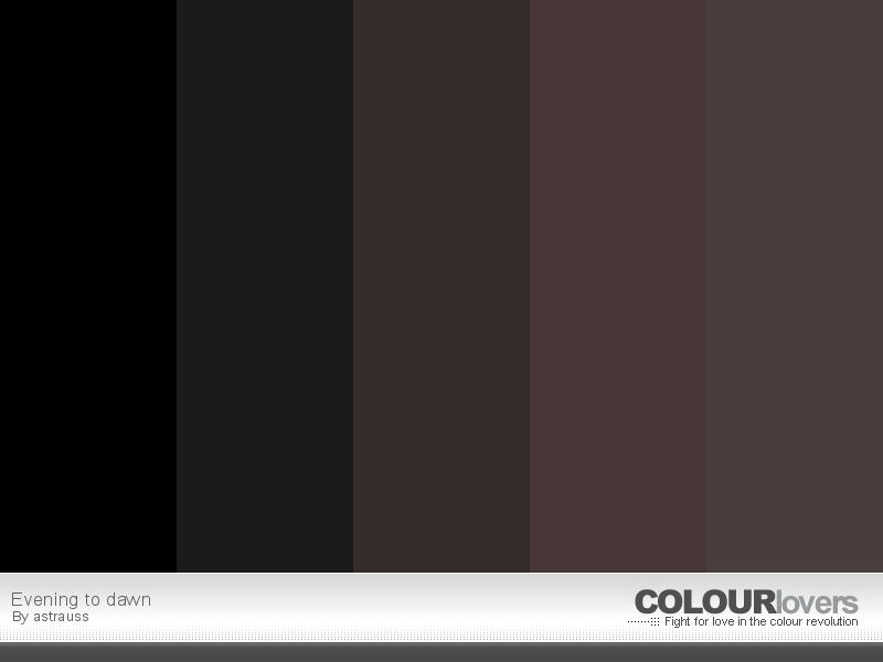 Dark Brown Color Palettes - HD Wallpaper 