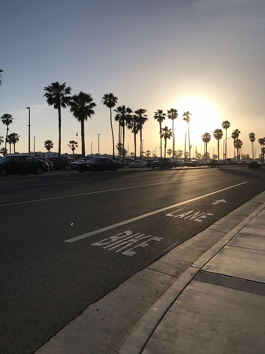 Sunset, Beach, Huntington Beach, Pch, Hey, Palm Trees, - Palm Road Tree Sunset - HD Wallpaper 