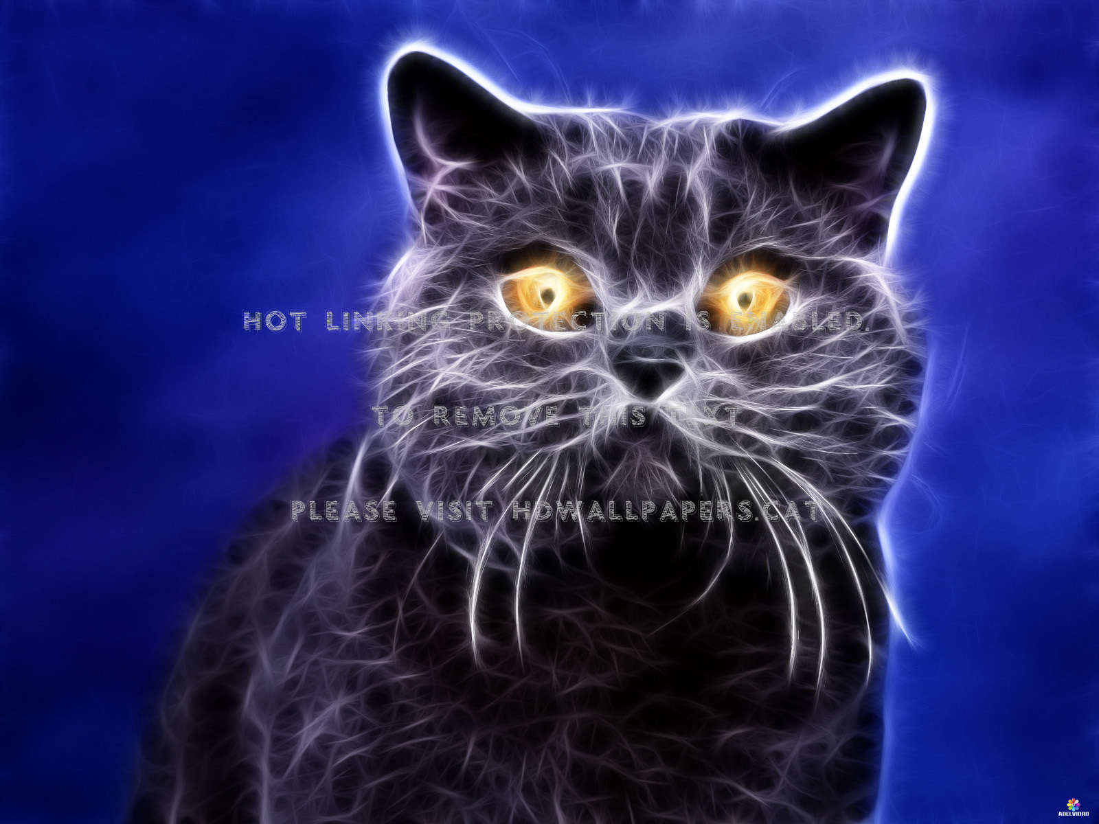Adelvidro Mahdi Mourad Amar Animals Cats - Black Cat - HD Wallpaper 