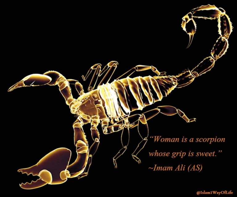 Woman Is A Scorpio Imam Ali - HD Wallpaper 