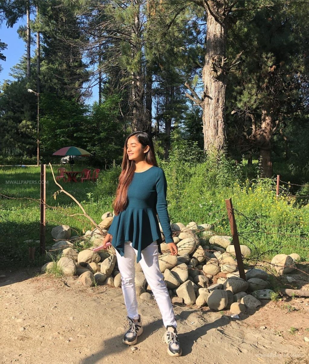 Anushka Sen Wallpaper, Anushka Sen, High-definition - Wallpaper - HD Wallpaper 