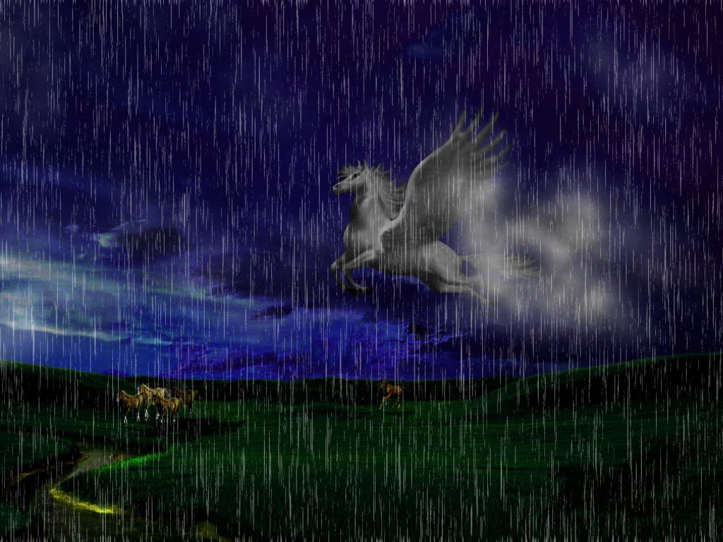 Kuda Terbang - Grass - HD Wallpaper 