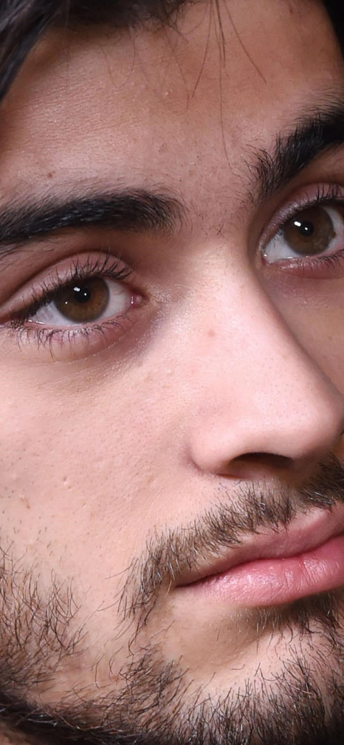 Zayn Malik - HD Wallpaper 