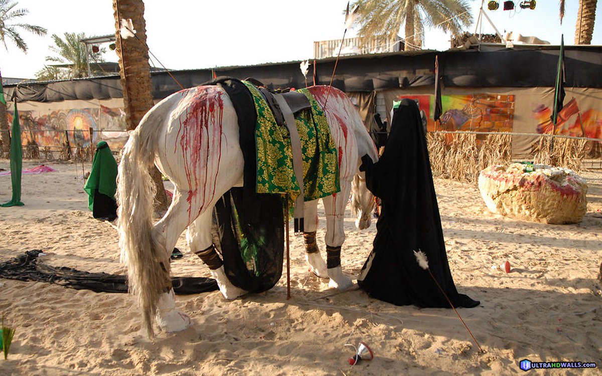 Karbala Zuljanah - HD Wallpaper 