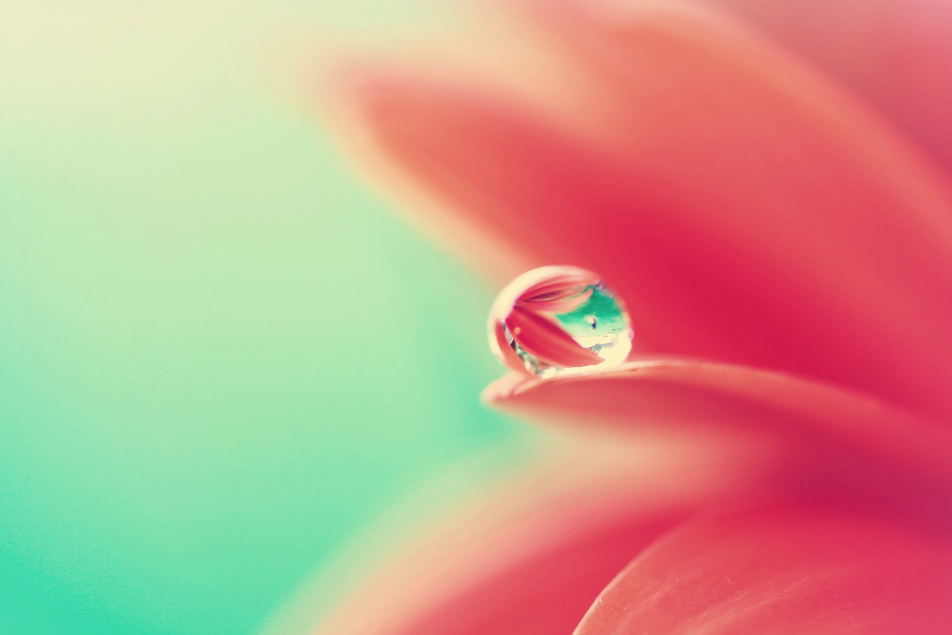 Wallpaper - Beautiful Water Drop Background - HD Wallpaper 