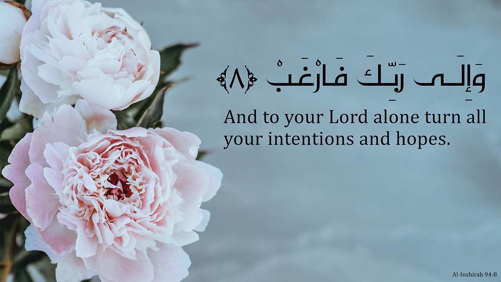 Beauty Flower Names For Girls - HD Wallpaper 