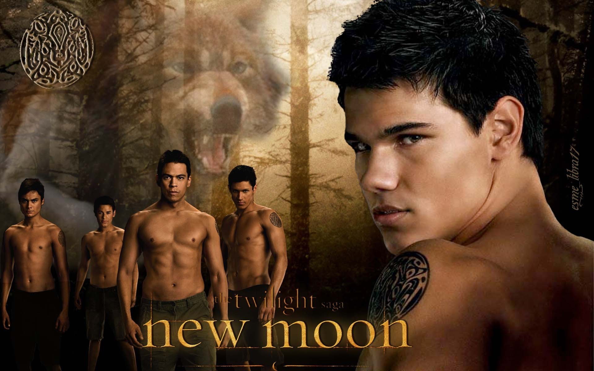 The Twilight Saga New Moon Wallpaper - Twilight Saga: New Moon - HD Wallpaper 