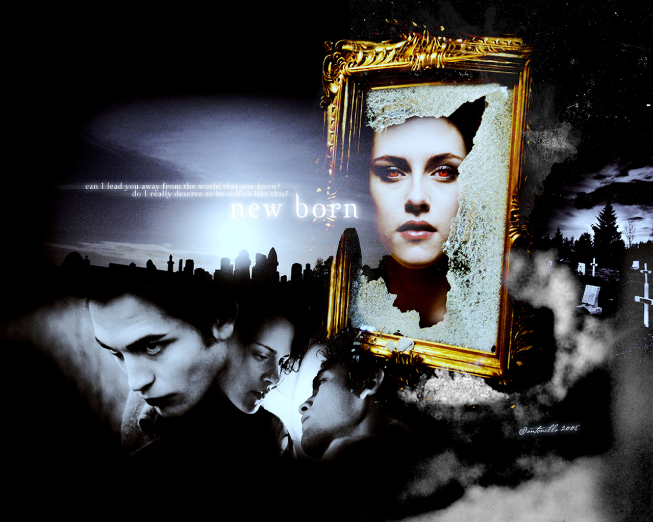 Twilight Movie - HD Wallpaper 