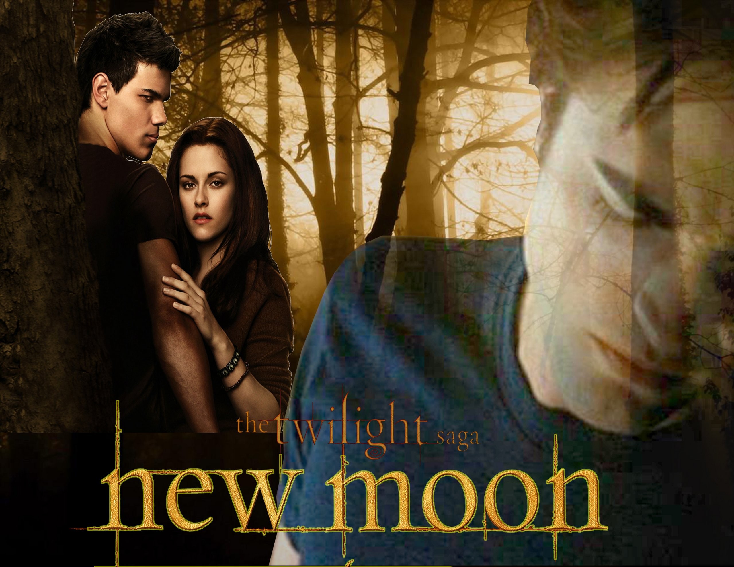Twilight New Moon Bilder - HD Wallpaper 