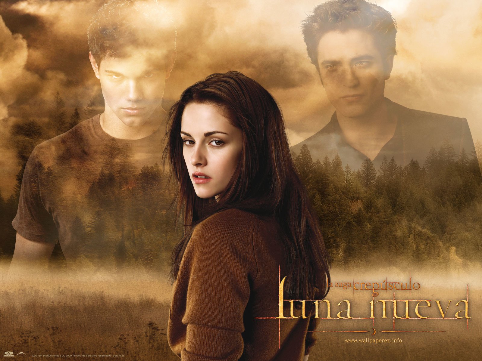 Twilight Saga New Moon 2009 - HD Wallpaper 