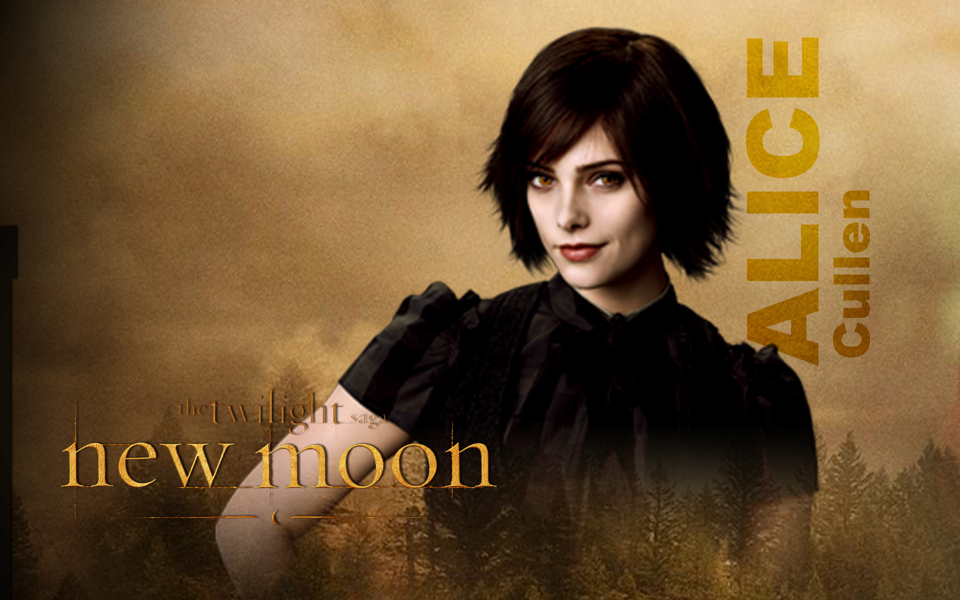Alice Cullen New Moon - HD Wallpaper 