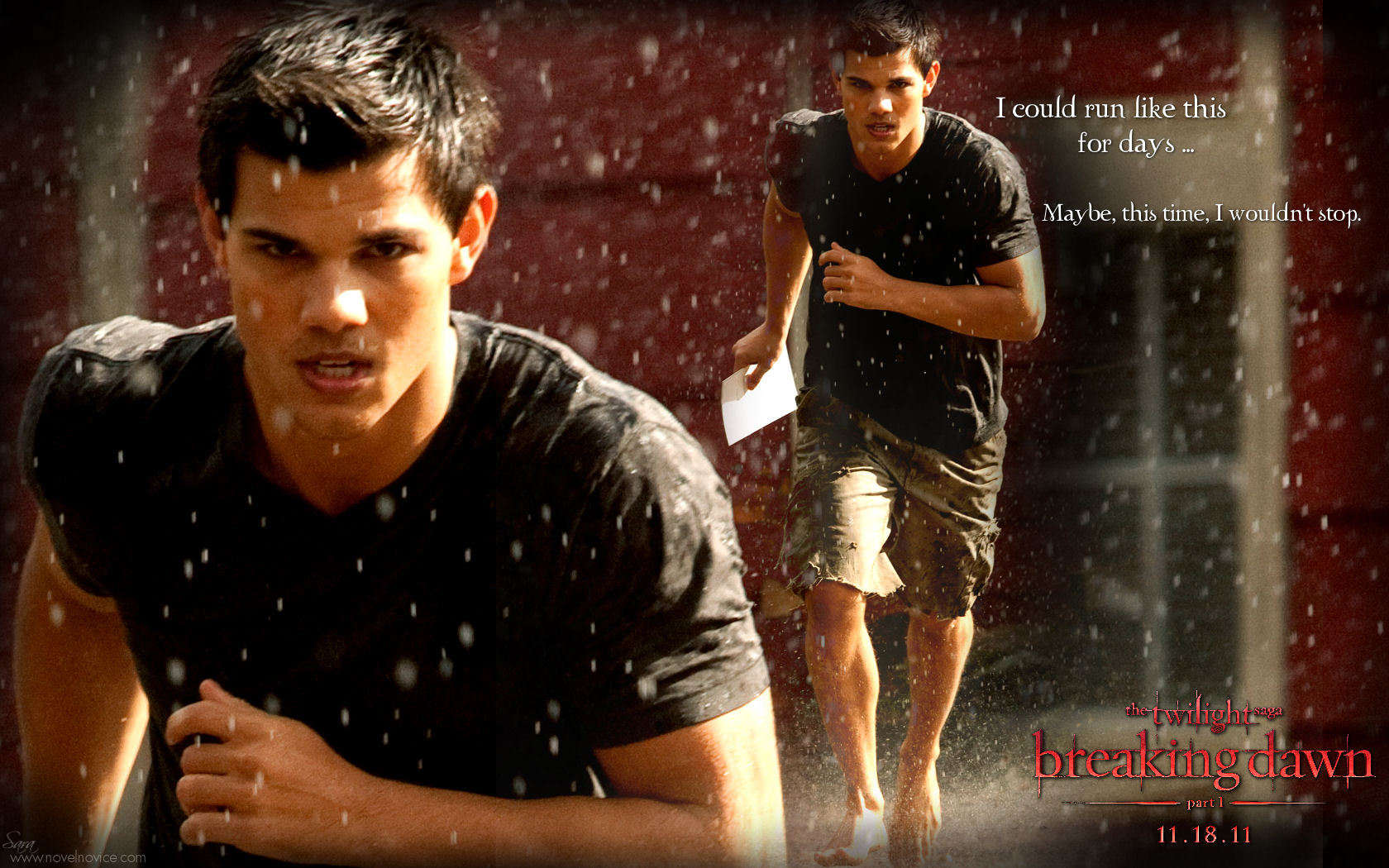 Taylor Lautner Breaking Dawn - HD Wallpaper 