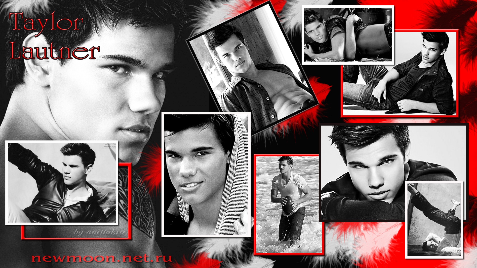 Taylor Lautner Twilight Poster - HD Wallpaper 