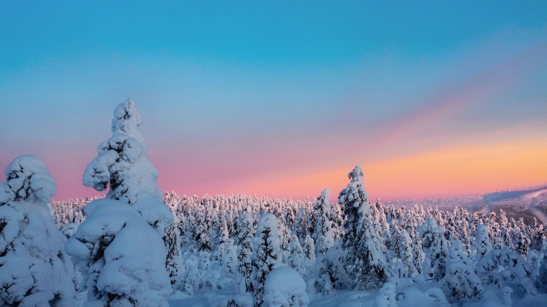 Winter, Sunset, Twilight, Trees, Nature, Wallpaper - HD Wallpaper 