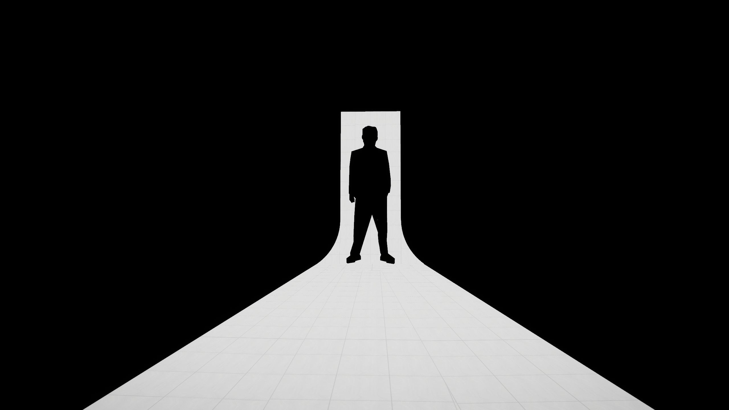 Silhouette - HD Wallpaper 