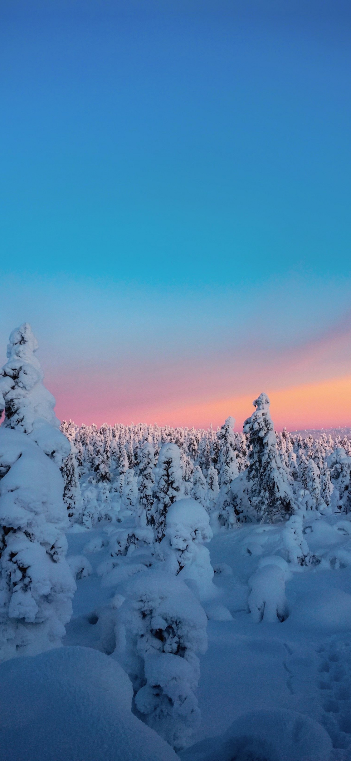 Winter, Sunset, Twilight, Trees, Nature, Wallpaper - Iphone 7 Winter Background - HD Wallpaper 