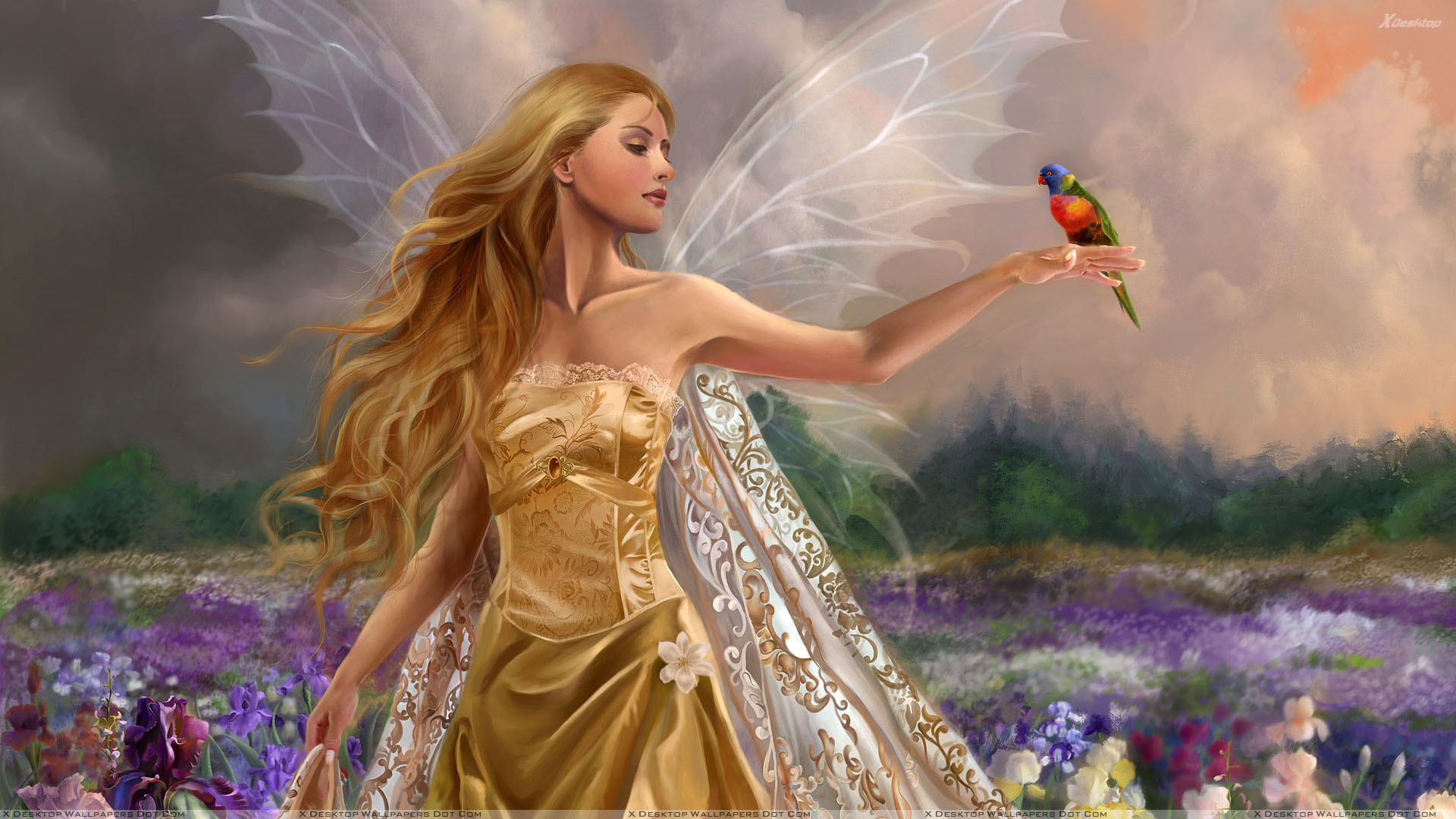 Fantasy Fairy - HD Wallpaper 
