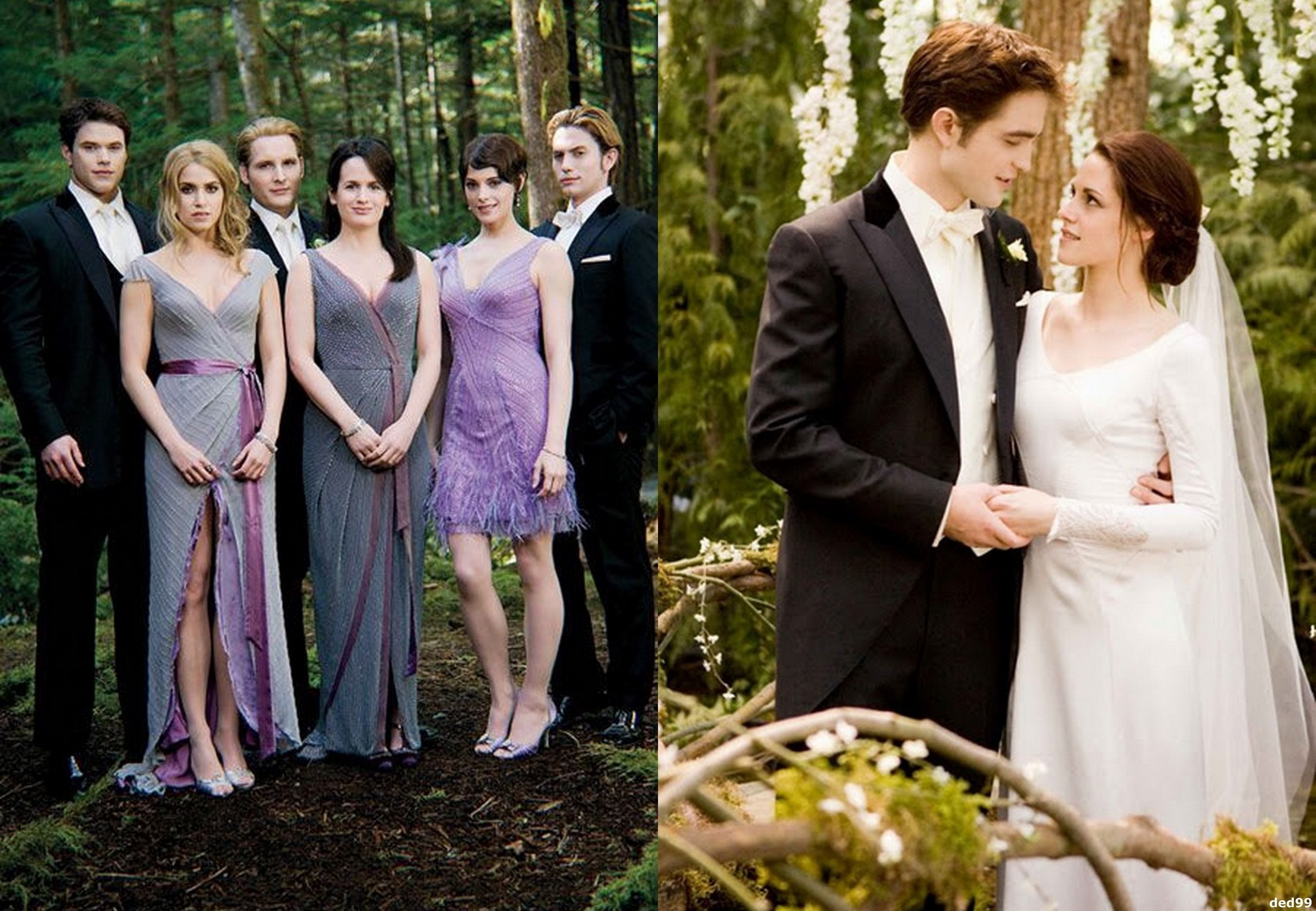 Twilight Breaking Dawn Cullen Family - HD Wallpaper 