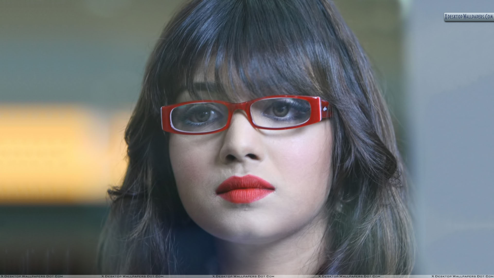 Hd Wallpaper Ayesha Takia - HD Wallpaper 