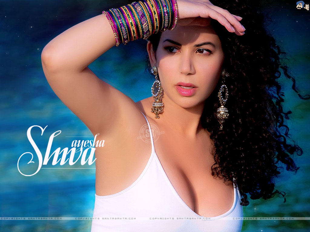 Ayesha Shiva - Shiva Hot - 1024x768 Wallpaper 