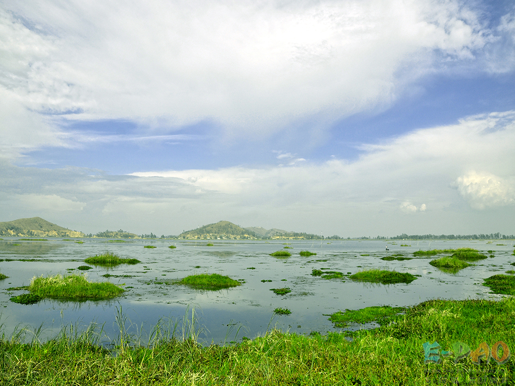 Freshwater Marsh - HD Wallpaper 