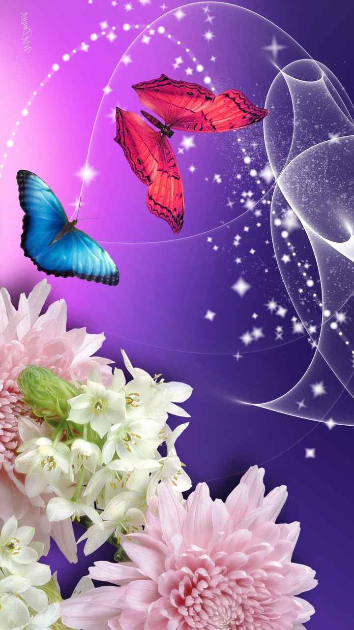 » ) - Clematis - HD Wallpaper 