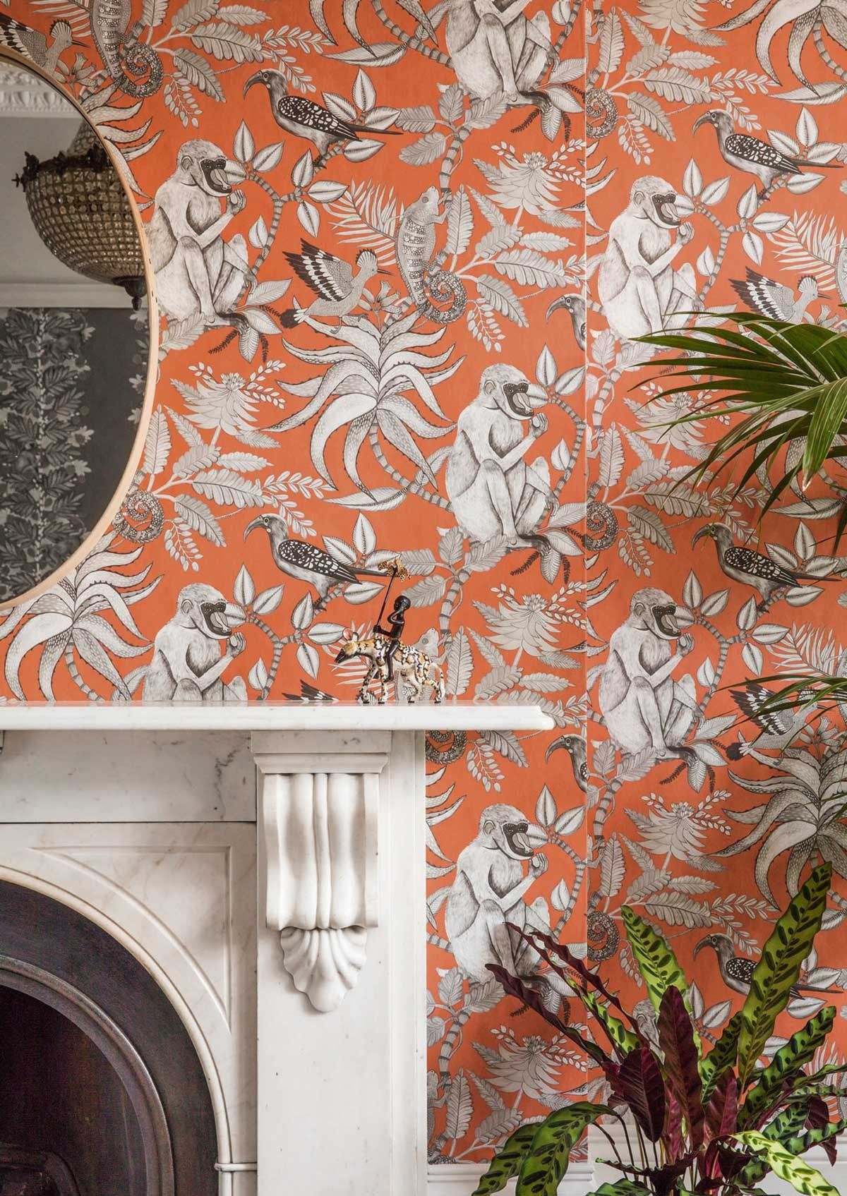 Cole And Sons Wallpaper Toronto Cole And Son The Ardmore Collection