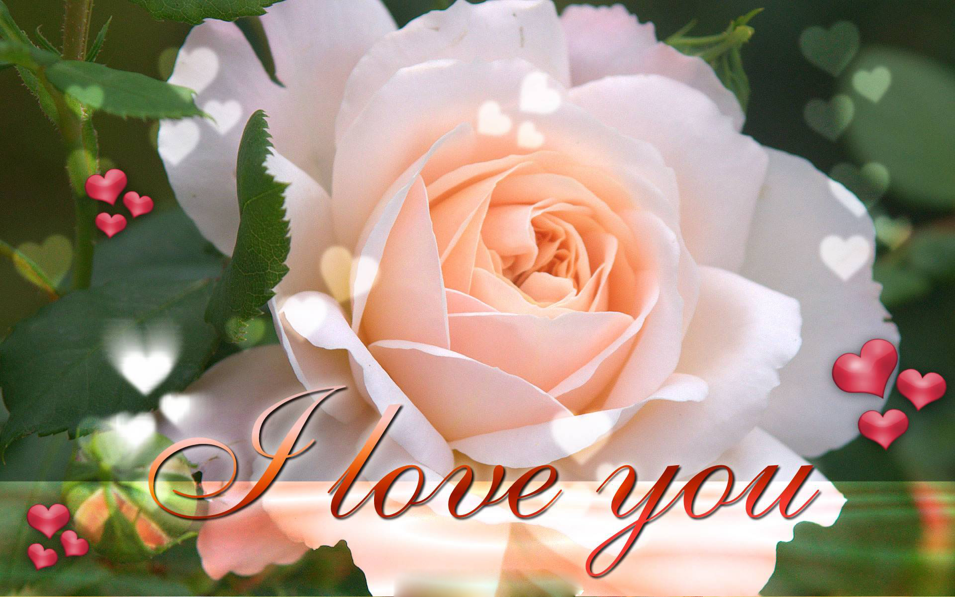 Romantic Beautiful Wallpaper Hd Love - 1920x1201 Wallpaper Romantic Beautiful Wallpaper Hd Love - 1920x1201 Wallpaper