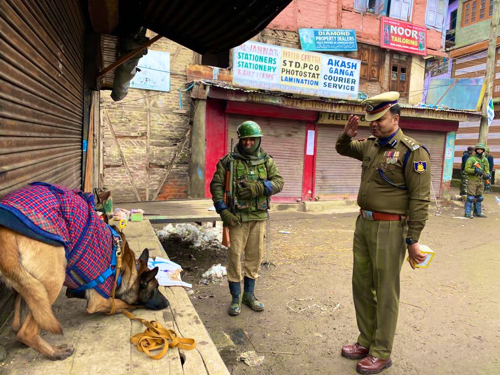 Arabian Camel - HD Wallpaper 