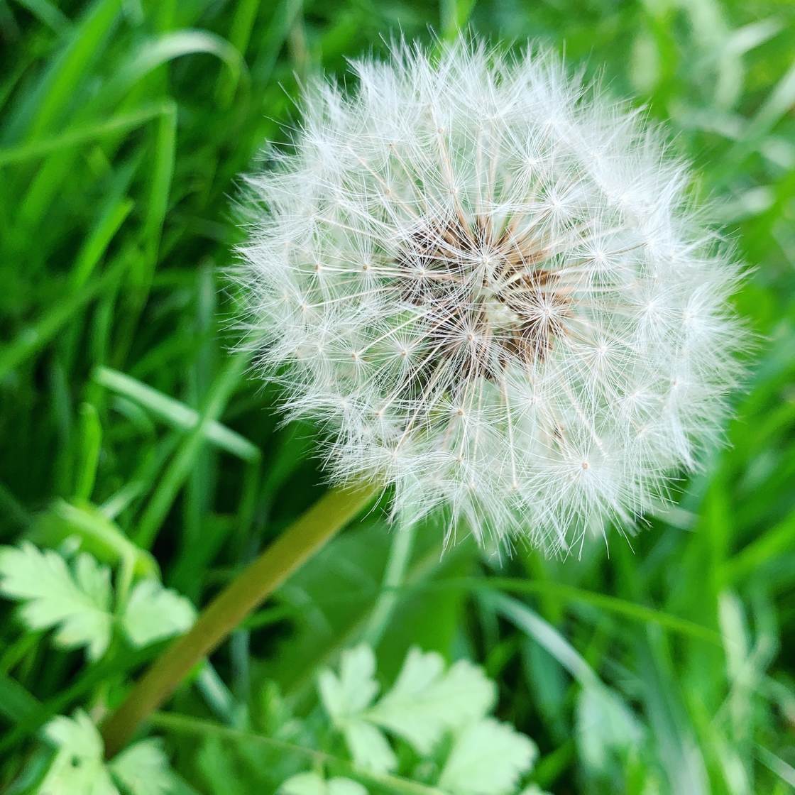 Background Photography Blur - HD Wallpaper 