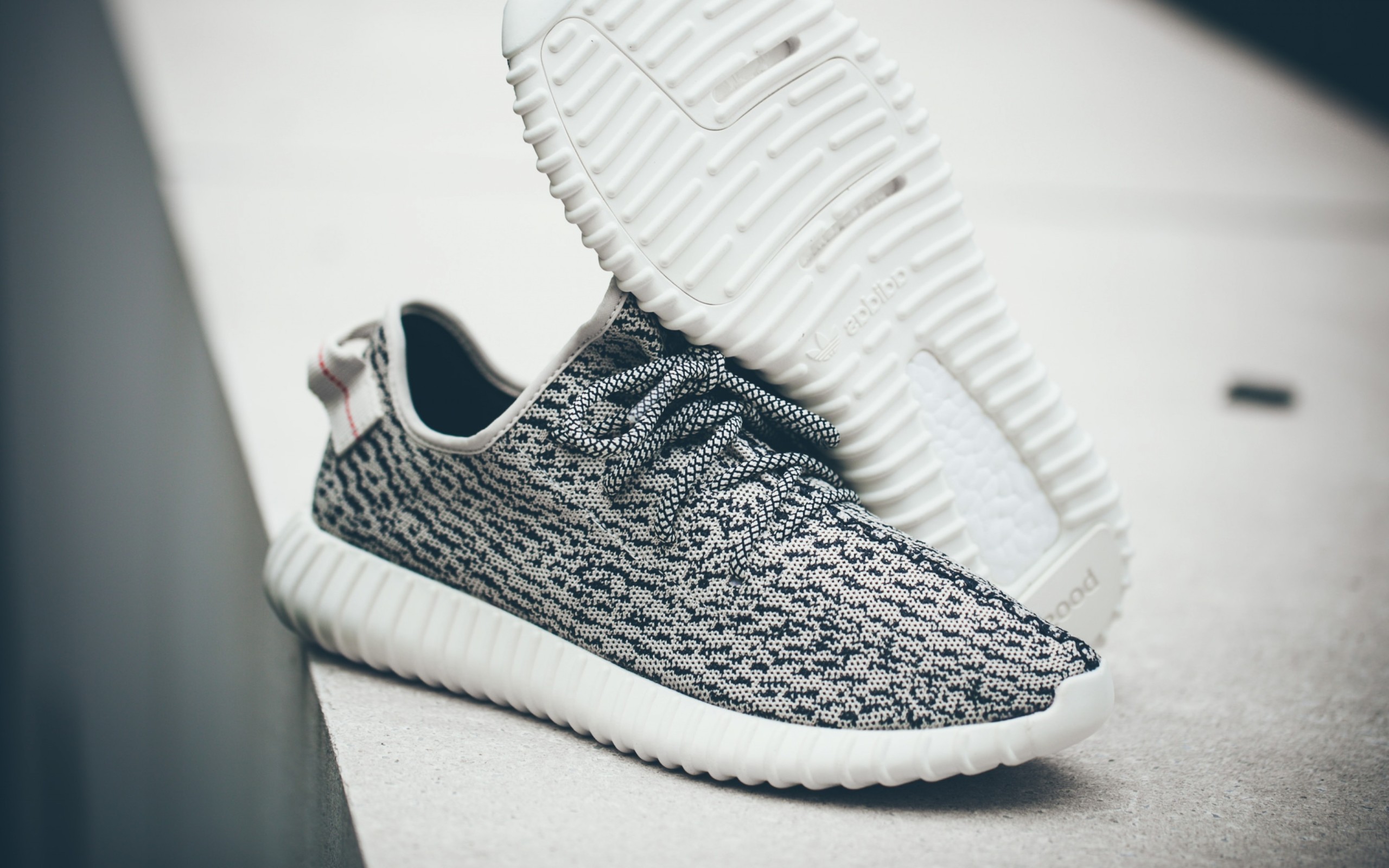 Adidas Shoes Wallpaper Hd - HD Wallpaper 