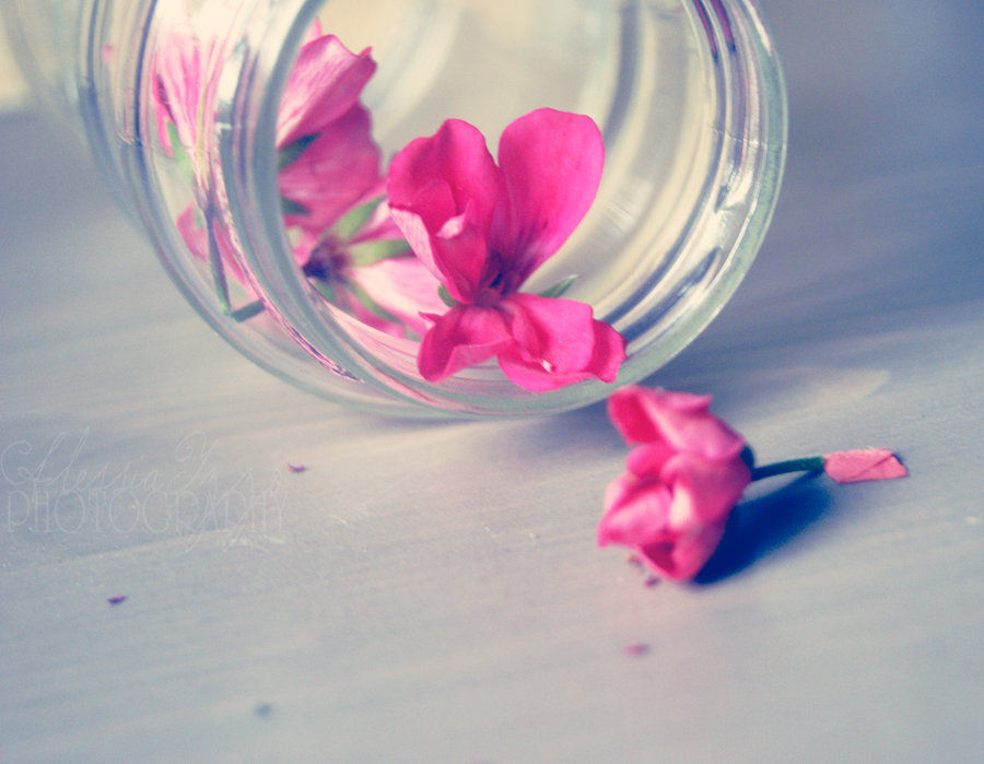 Fondos Para Chicad Hd - HD Wallpaper 