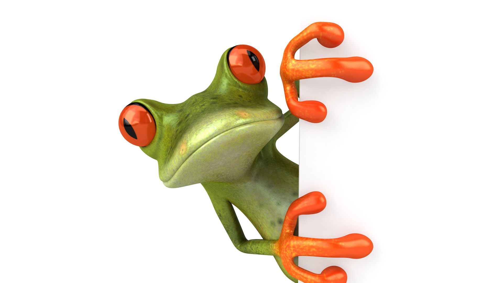 Gracioso Sapo 3d - Frog Looking Around Corner - HD Wallpaper 