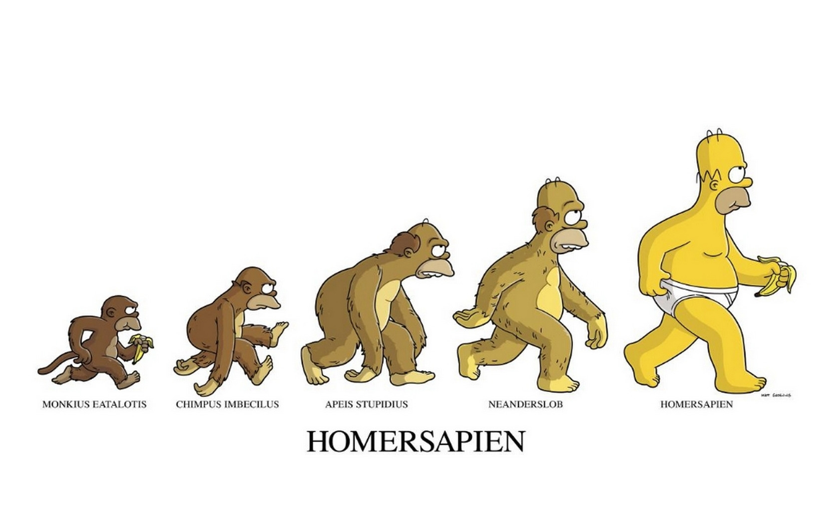 Homer Simpson - HD Wallpaper 