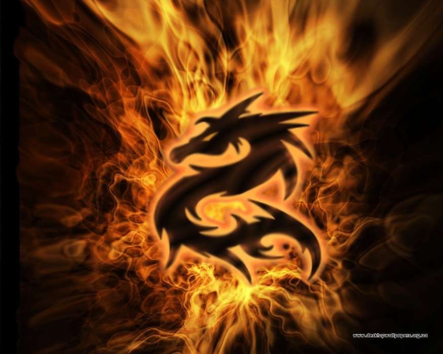 Download Mobile Wallpaper Background, Logos, Dragons, - Cool Fire Dragon  Background - 875x700 Wallpaper 