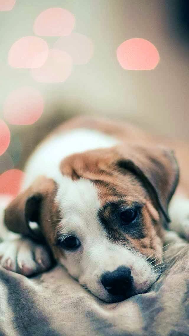 Backgrounds Sad For Iphone - HD Wallpaper 