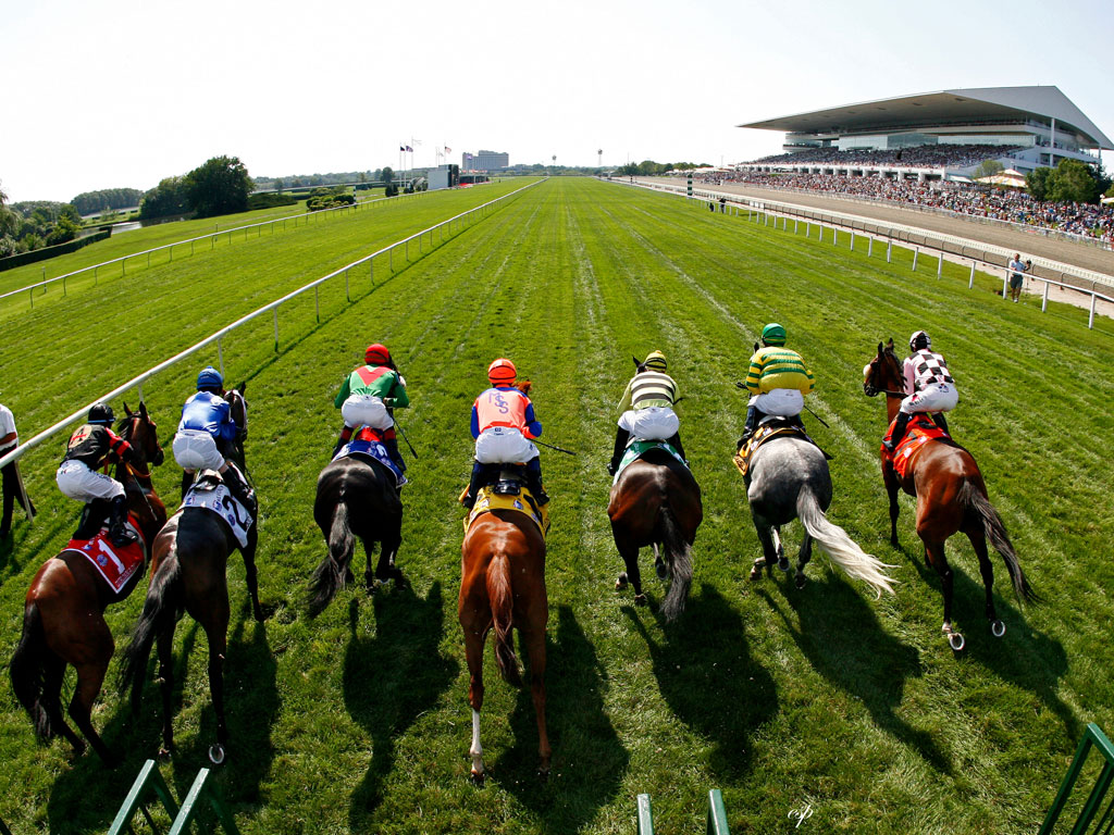 Saratoga Race Track Wallpaper - Horse Racing Bets - HD Wallpaper 