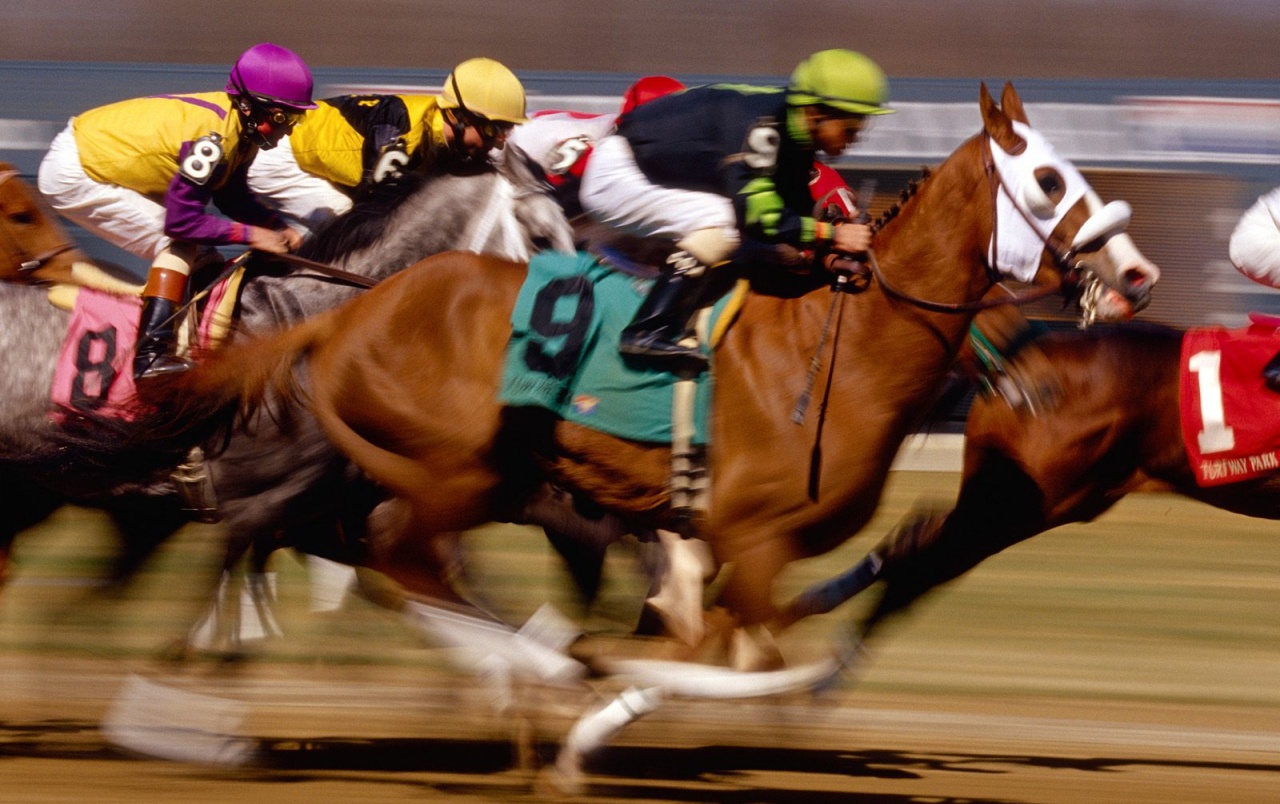 Carreras De Caballos Wallpapers - Horse Racing - HD Wallpaper 