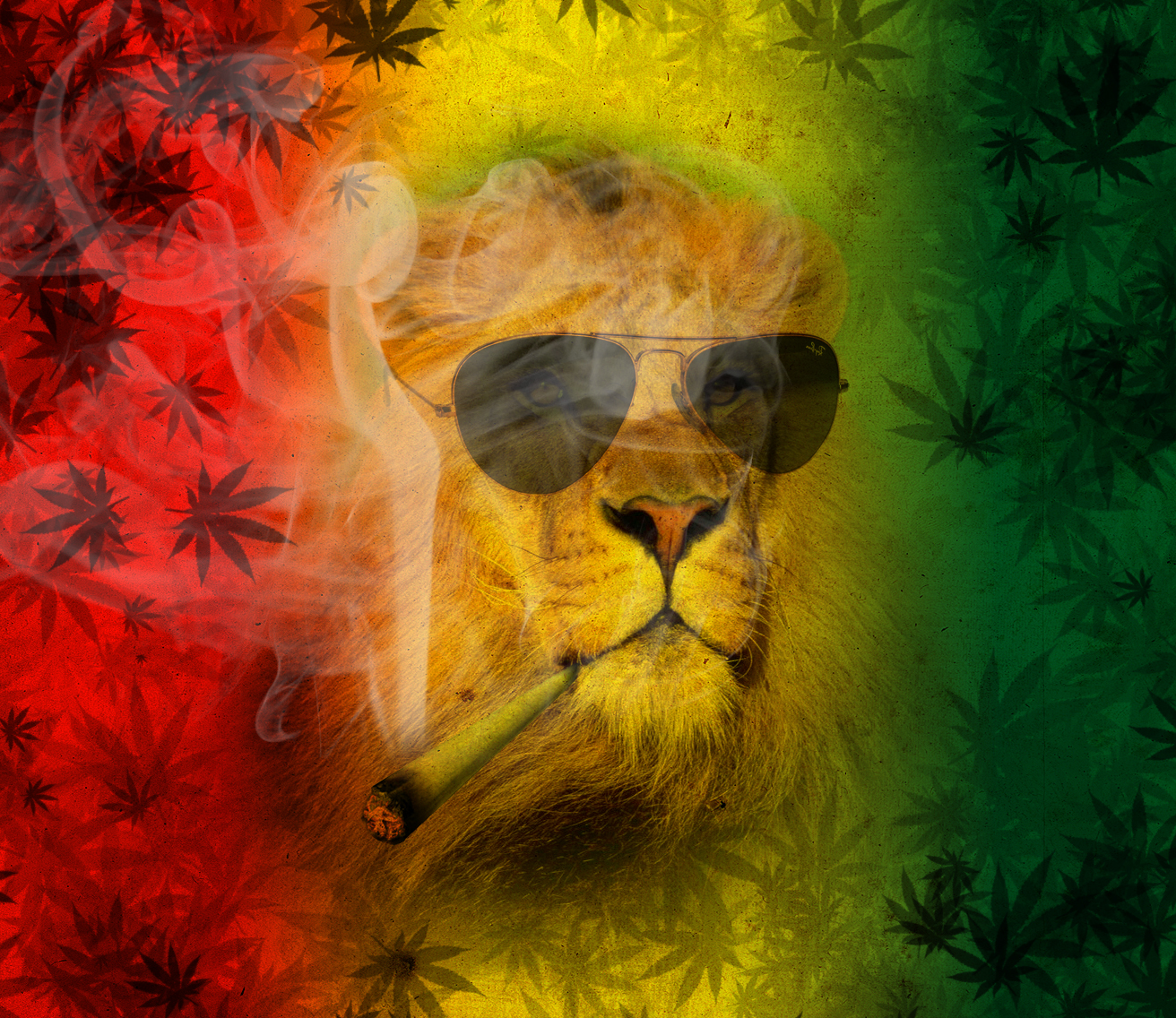 Reggae Lion Wallpaper - Lion Reggae - HD Wallpaper 