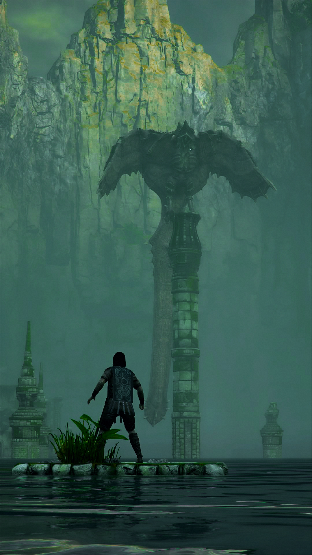Sotc Avion - HD Wallpaper 