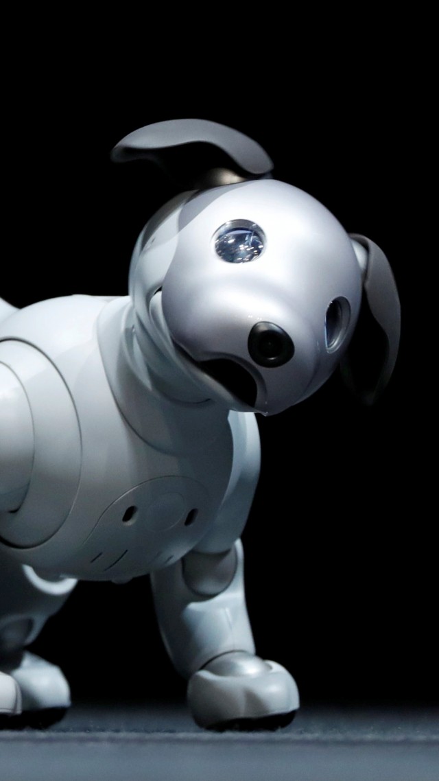 Sony Aibo, Robot, Dog, Hd - Robot Dogs - HD Wallpaper 