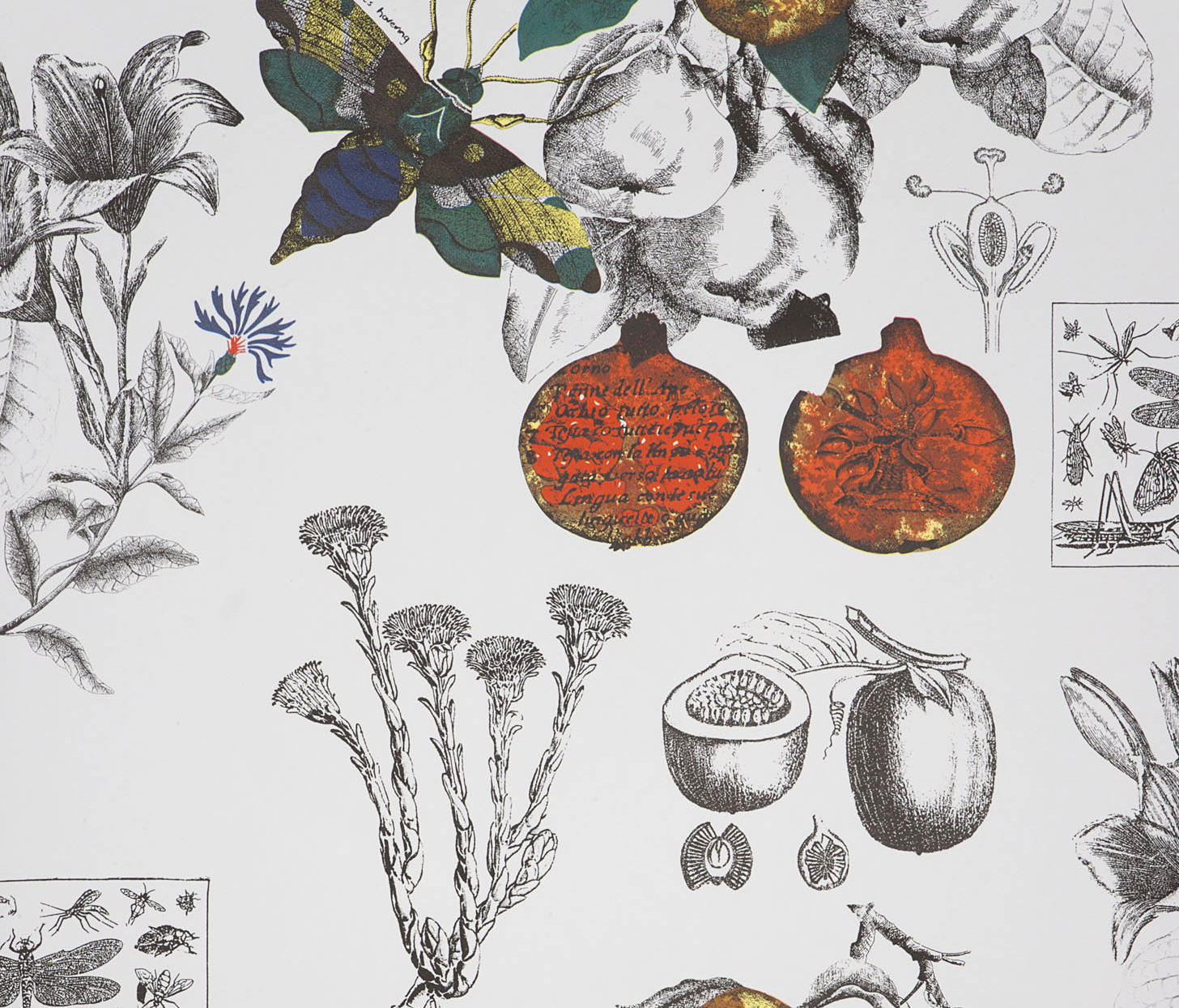 Wallpaper - HD Wallpaper 