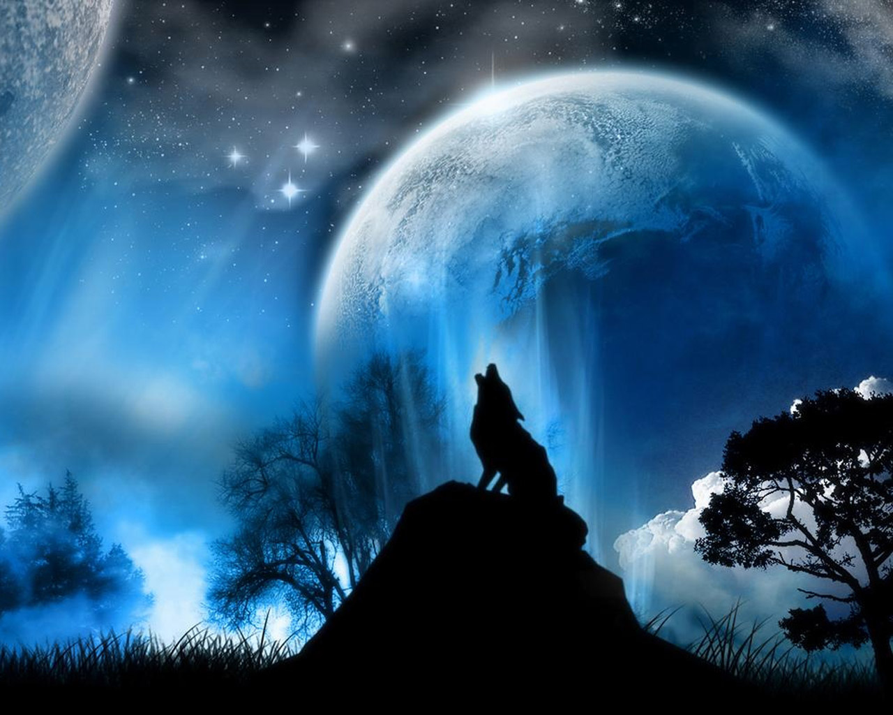 Majestic Wolf Wallpaper Hd - HD Wallpaper 