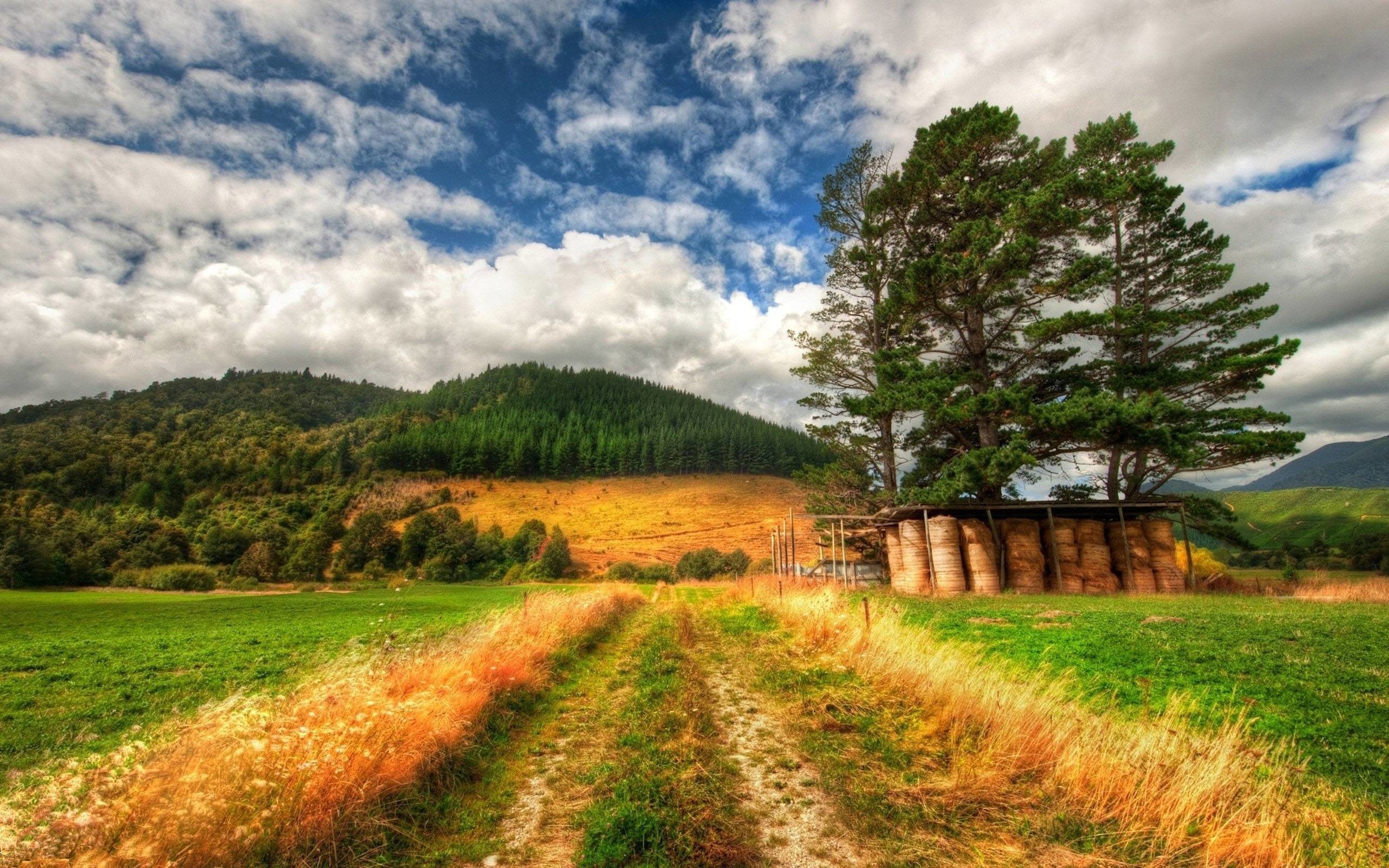 Hermosos Wallpapers De Paisajes Blog De Fotografias - New Zealand Landscape Hd - HD Wallpaper 
