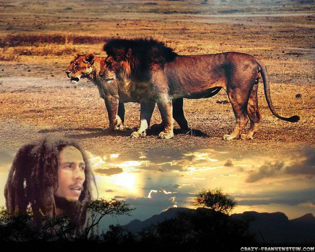 Bob Marley - HD Wallpaper 