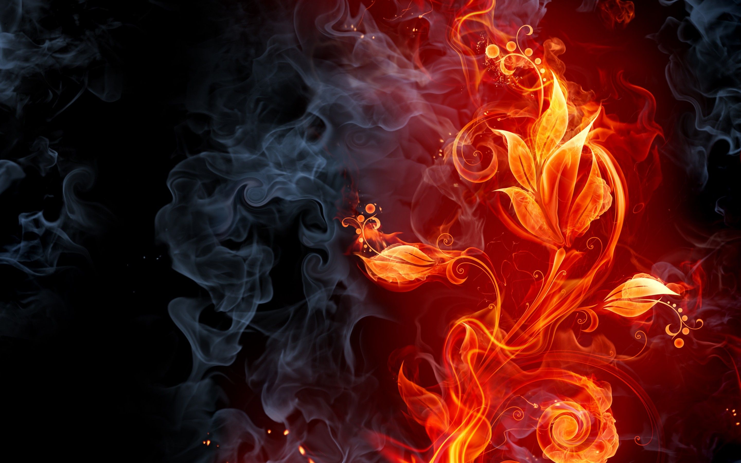 Fire Flower - HD Wallpaper 