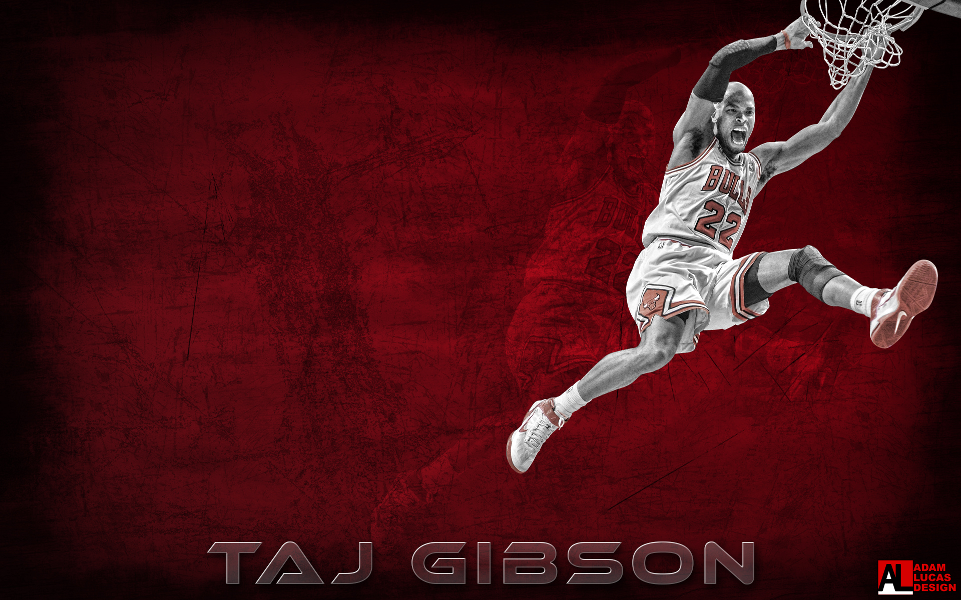 Taj Gibson - HD Wallpaper 