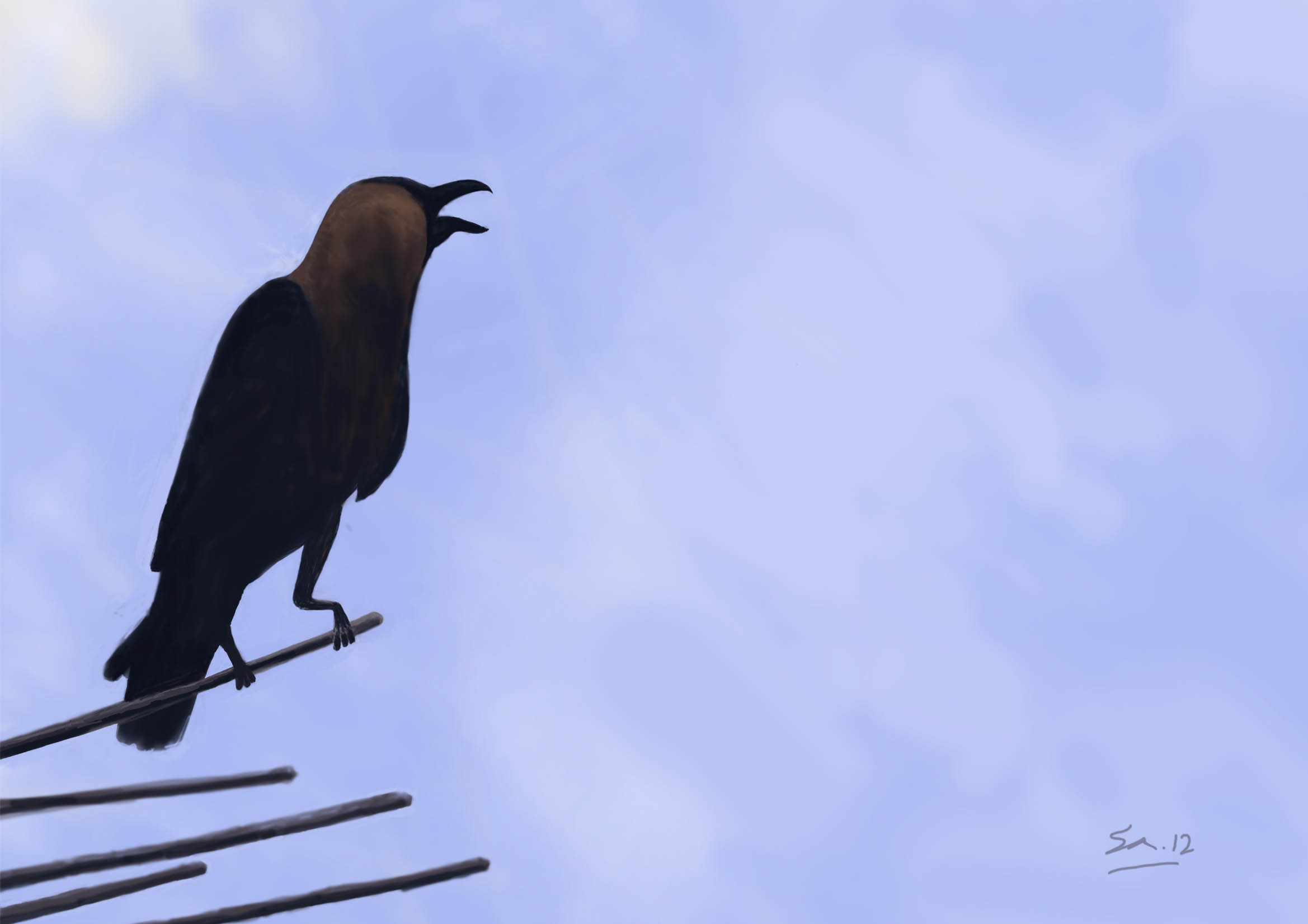 Fish Crow - HD Wallpaper 