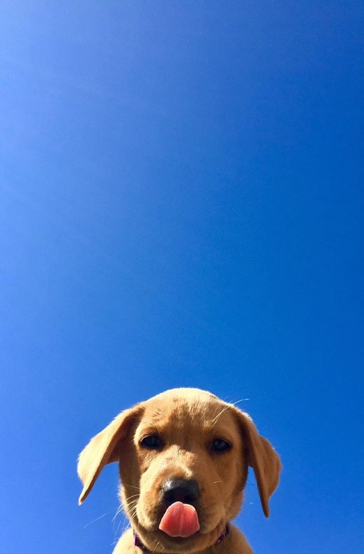 Open For A Surprise Twitter - HD Wallpaper 